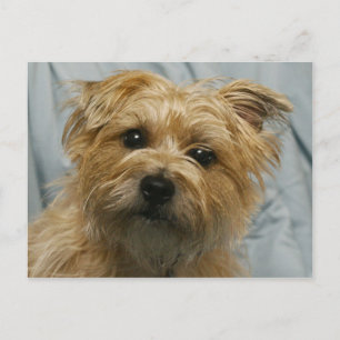 Postkarte für Diskettenlaufwerk