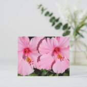 Postkarte für doppelrosa Hibiskus (Stehend Vorderseite)