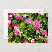 Postkarte für doppelte Impatienten (Vorne/Hinten)