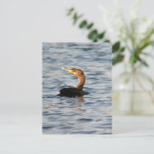 Postkarte für doppeltes Cormorant-Bird-Foto (Stehend Vorderseite)