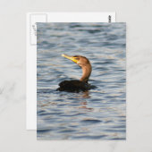 Postkarte für doppeltes Cormorant-Bird-Foto (Vorne/Hinten)