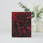 Postkarte für doppeltes Peony Tulip (Stehend Vorderseite)