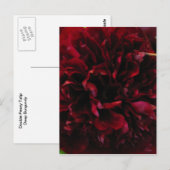 Postkarte für doppeltes Peony Tulip (Vorne/Hinten)