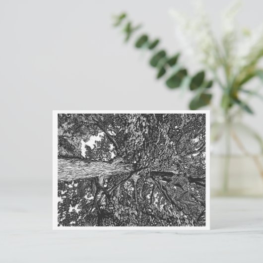 Postkarte für Eichenbaum (Stehend Vorderseite)