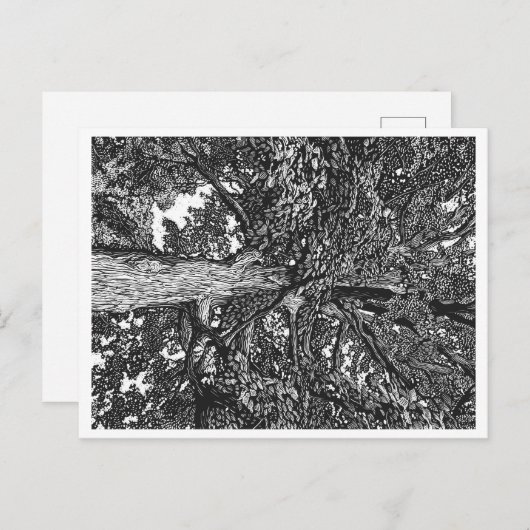 Postkarte für Eichenbaum (Vorne/Hinten)