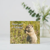 Postkarte für Eichhörnchenessen, Sondertext (Stehend Vorderseite)