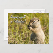 Postkarte für Eichhörnchenessen, Sondertext (Vorne/Hinten)