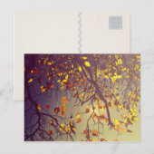 Postkarte für einen Tag (Vorne/Hinten)