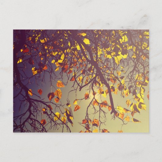 Postkarte für einen Tag (Vorderseite)