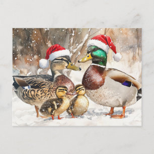 Postkarte für Enten