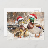 Postkarte für Enten (Vorne/Hinten)