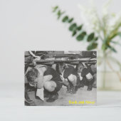 Postkarte für Enten und Decken (Stehend Vorderseite)