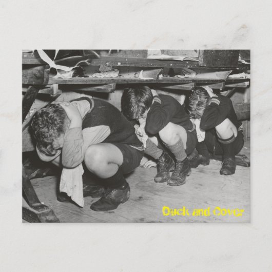 Postkarte für Enten und Decken (Vorderseite)