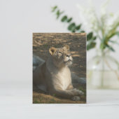 Postkarte für Frauen (Stehend Vorderseite)