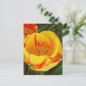 Postkarte für Frühlingshuppen (Stehend Vorderseite)