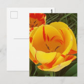 Postkarte für Frühlingshuppen (Vorne/Hinten)