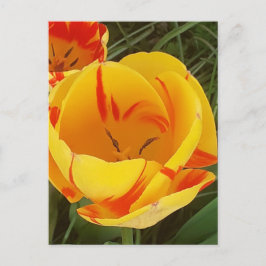 Postkarte für Frühlingshuppen