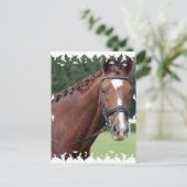 Postkarte für geflochtene Pferde (Stehend Vorderseite)