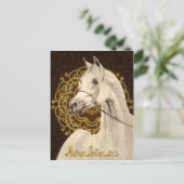 Postkarte für graue Araber (Stehend Vorderseite)