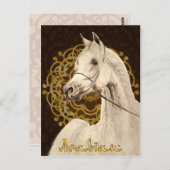 Postkarte für graue Araber (Vorne/Hinten)