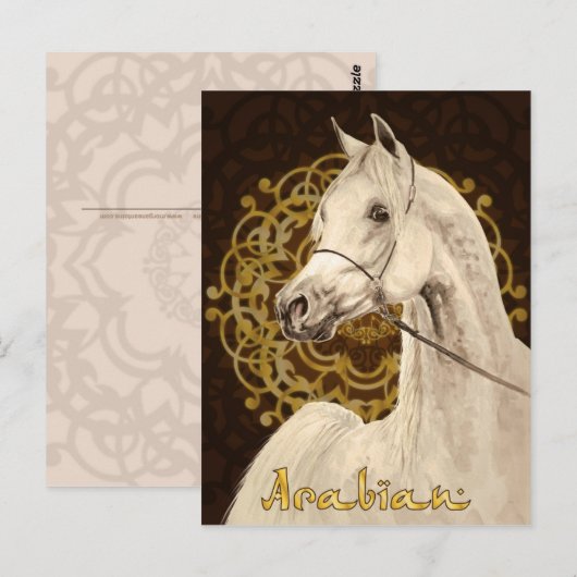 Postkarte für graue Araber (Vorne/Hinten)