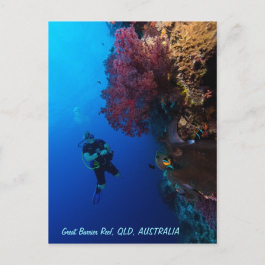 Postkarte für großes Riff (Vorderseite)