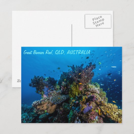 Postkarte für großes Riff (Vorne/Hinten)