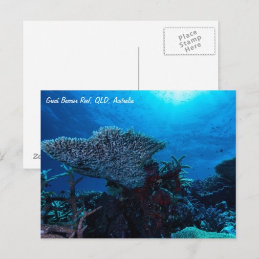 Postkarte für großes Riff (Vorne/Hinten)