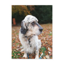 Postkarte für Herbst