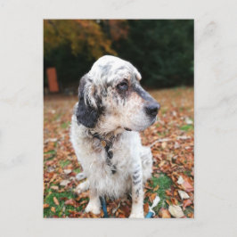 Postkarte für Herbst