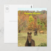 Postkarte für Herbst (Vorne/Hinten)