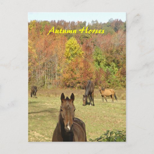 Postkarte für Herbst (Vorderseite)