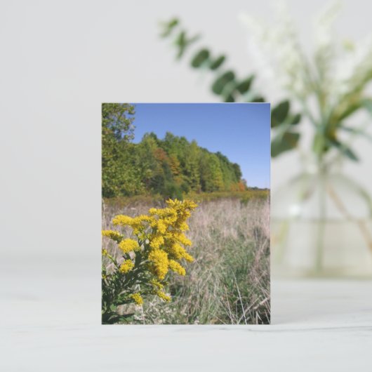 Postkarte für Herbst (Stehend Vorderseite)
