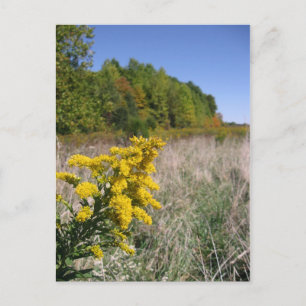 Postkarte für Herbst