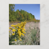 Postkarte für Herbst (Vorderseite)