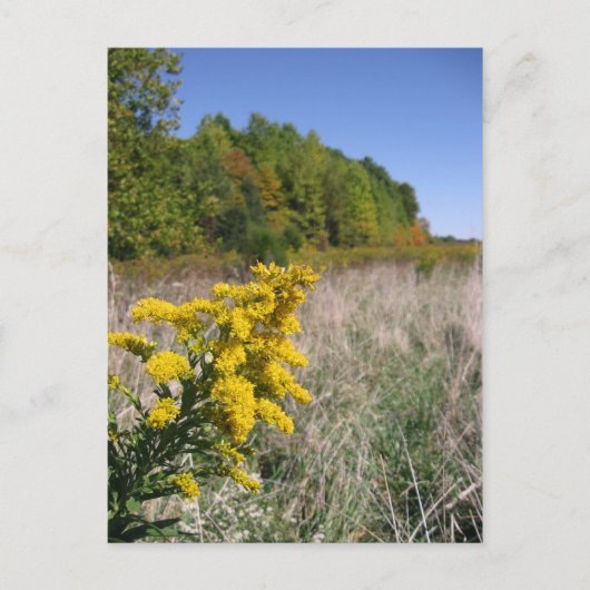 Postkarte für Herbst (Vorderseite)