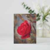Postkarte für Herbst-Rose (Stehend Vorderseite)