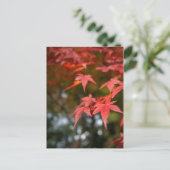 Postkarte für Herbstausgänge (Stehend Vorderseite)