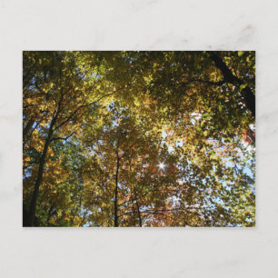 Postkarte für Herbstausgänge