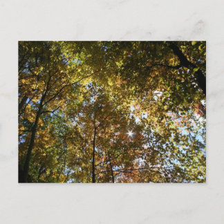 Postkarte für Herbstausgänge