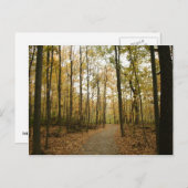 Postkarte für Herbstbaumen (Vorne/Hinten)