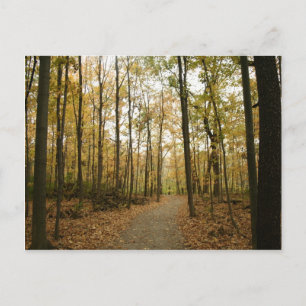 Postkarte für Herbstbaumen