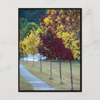 Postkarte für Herbstbaumen