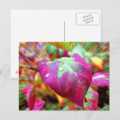 Postkarte für Herbstfarben (Vorne/Hinten)