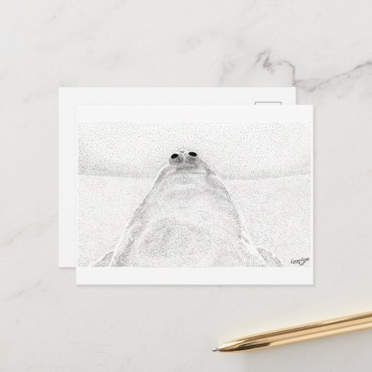 Postkarte für Hühnchen (Vorderseite/Rückseite Beispiel)