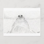 Postkarte für Hühnchen (Vorderseite)