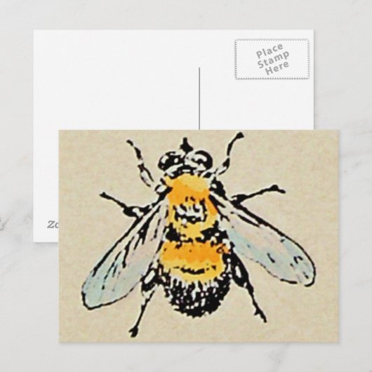 Postkarte für Hummeln (Vorne/Hinten)