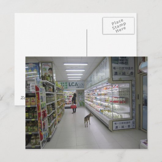 Postkarte für Hunde (Vorne/Hinten)