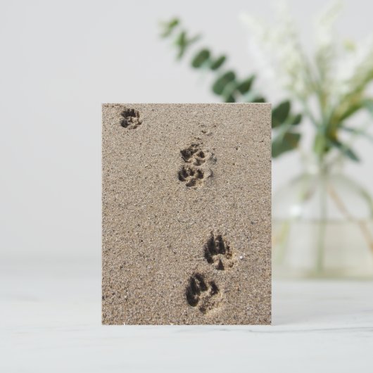 Postkarte für Hunde (Stehend Vorderseite)