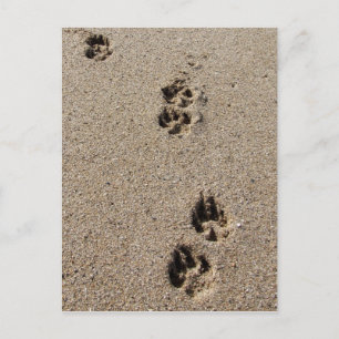 Postkarte für Hunde